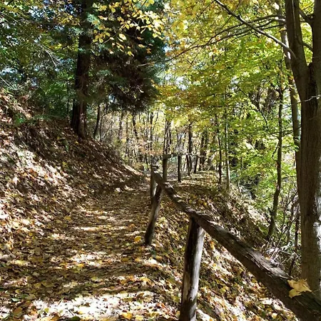 Casa Reduit Terrazza By Interhome Appartement