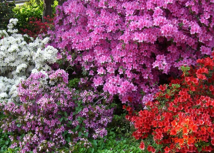 Casa Reduit Terrazza By Interhome Orselina